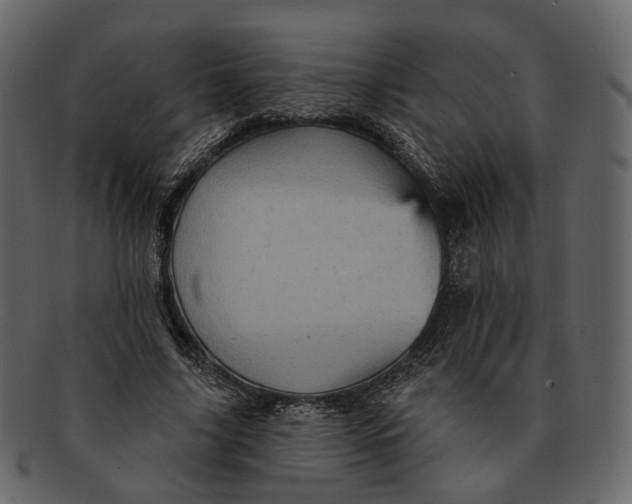 X0000092300635200710051221