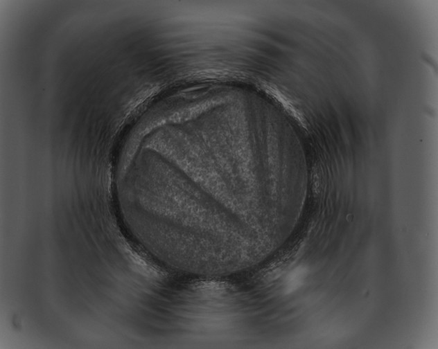 X0000092300637200710051221