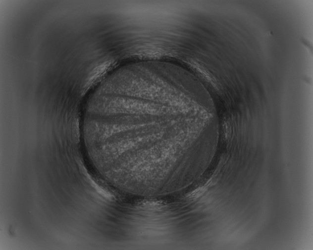 X0000092300638200710051221