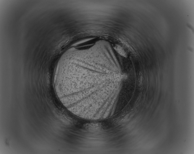 X0000092300639200710051221