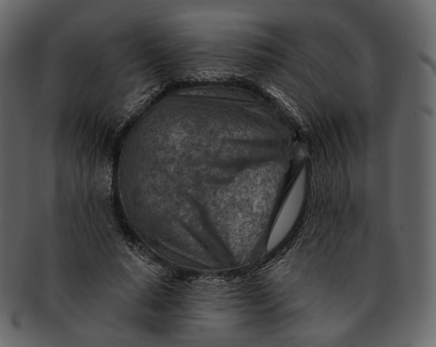 X0000092300640200710051221