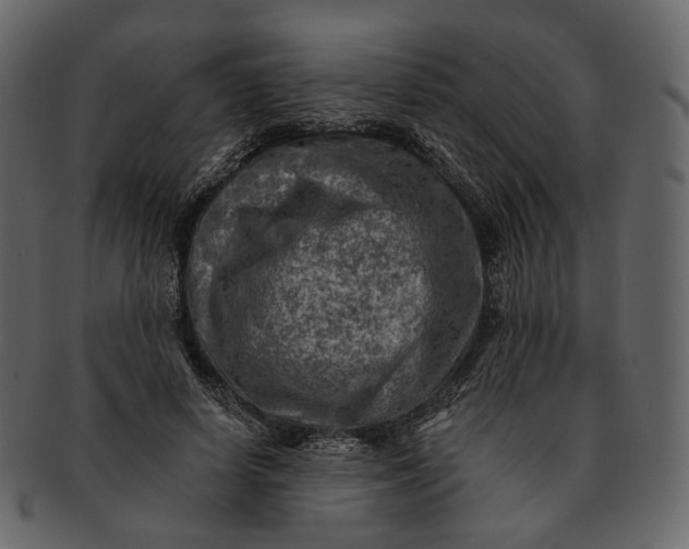 X0000092300642200710051221