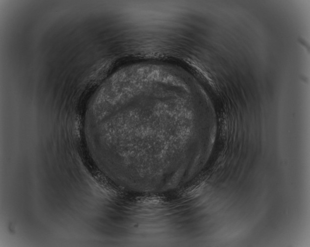 X0000092300643200710051221