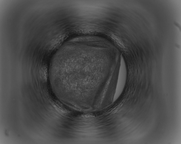 X0000092300644200710051221