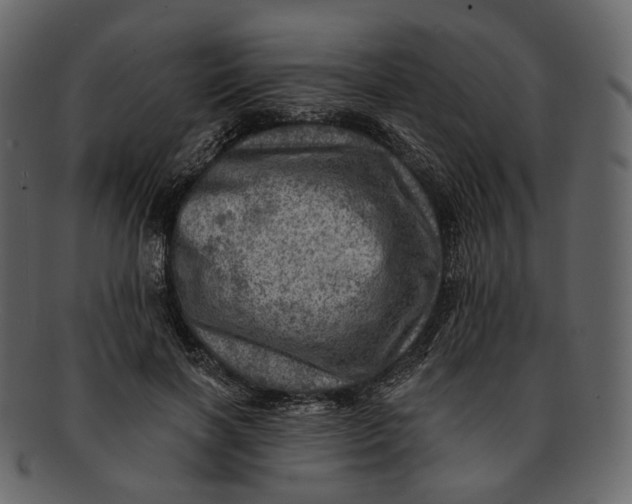 X0000092300646200710051221