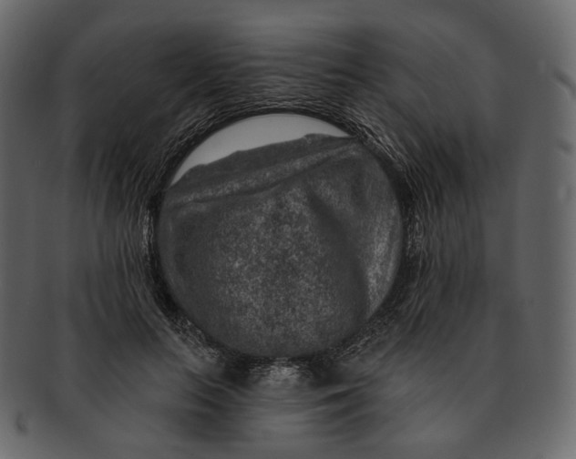 X0000092300647200710051221