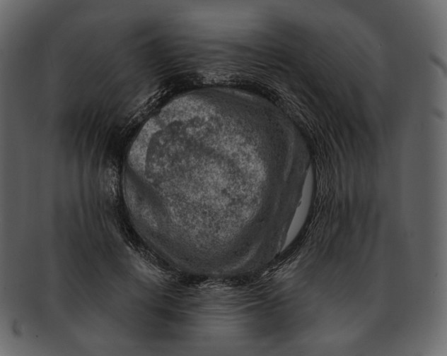 X0000092300648200710051221