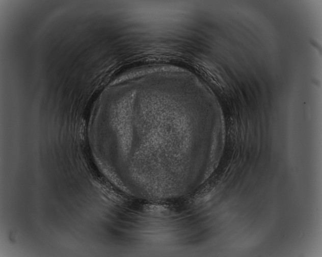 X0000092300649200710051221