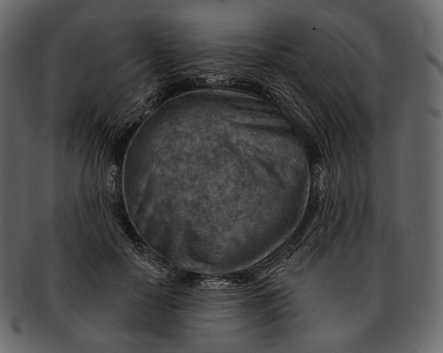 X0000092300650200710051221