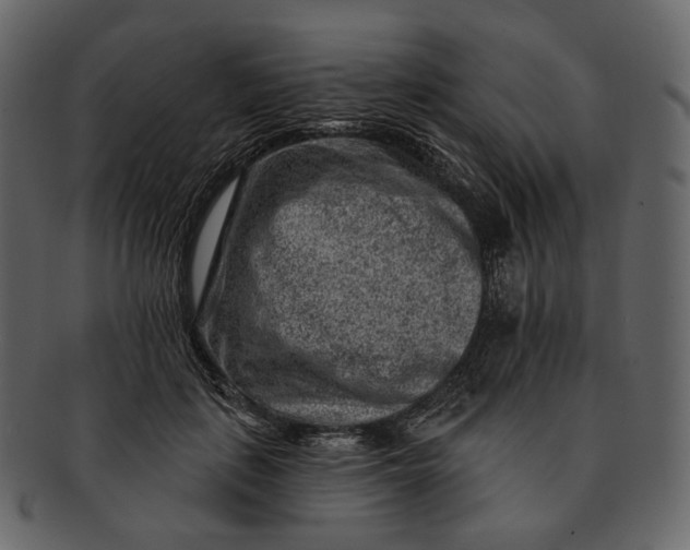 X0000092300651200710051221