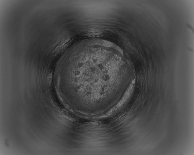 X0000092300652200710051221