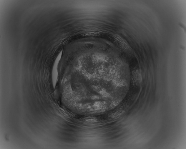 X0000092300653200710051221