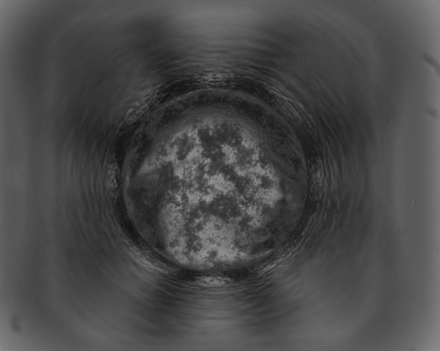 X0000092300654200710051221