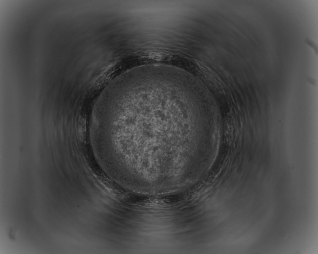 X0000092300656200710051221