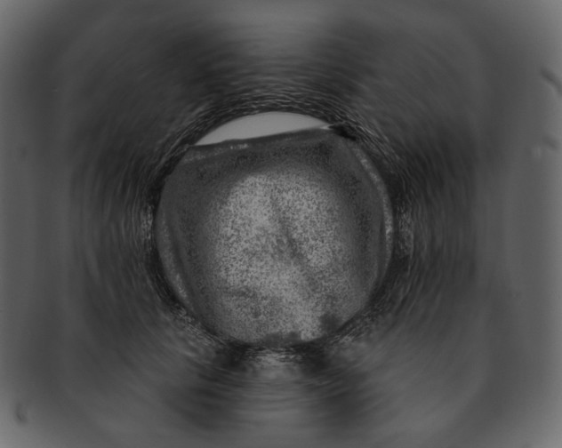 X0000092300657200710051221