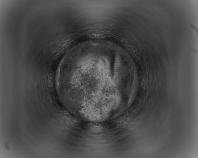 X0000092300658200710051221