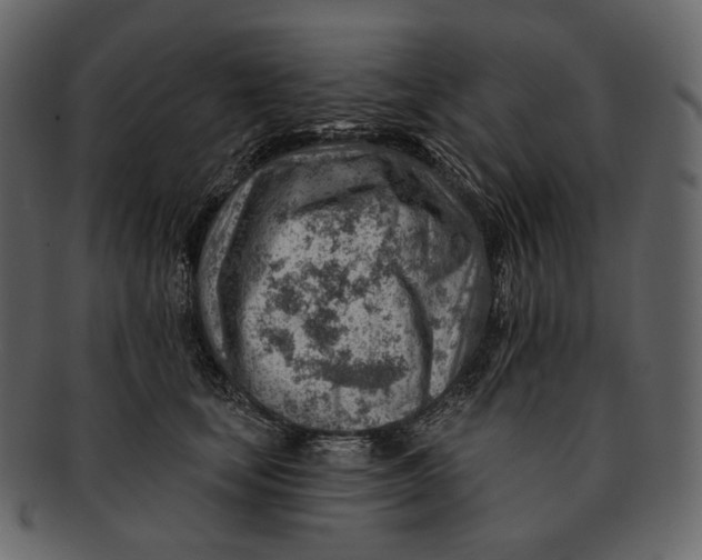 X0000092300659200710051221