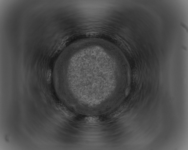 X0000092300660200710051221