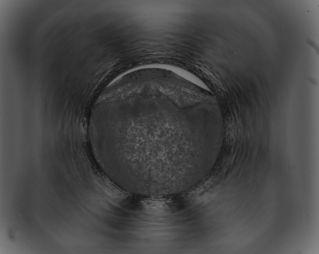 X0000092300661200710051221