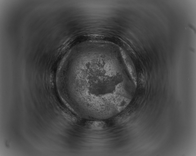 X0000092300663200710051221