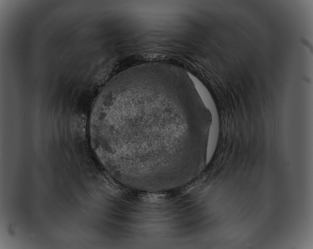 X0000092300664200710051221