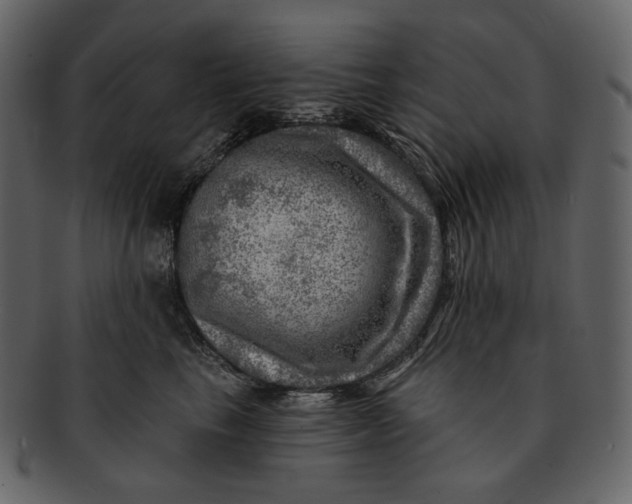 X0000092300665200710051221