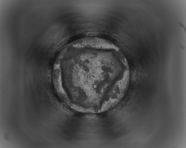 X0000092300666200710051221