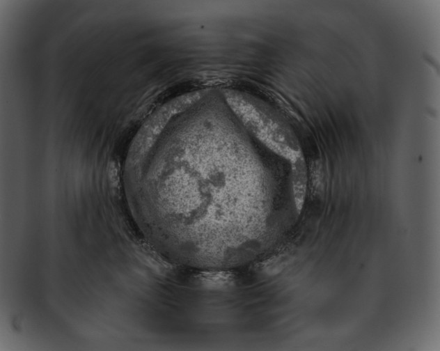 X0000092300667200710051221