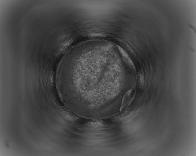 X0000092300668200710051221