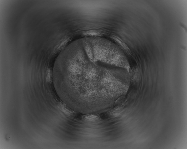 X0000092300669200710051221