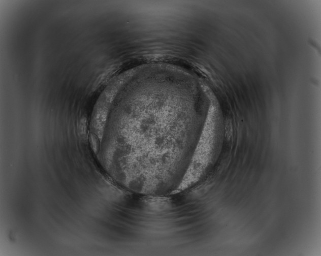 X0000092300670200710051221