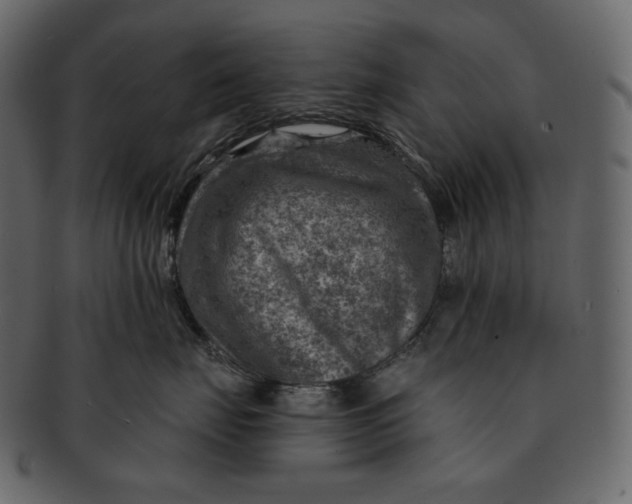 X0000092300671200710051221