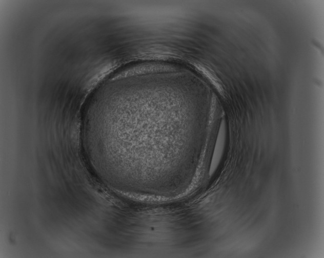 X0000092300675200710051221