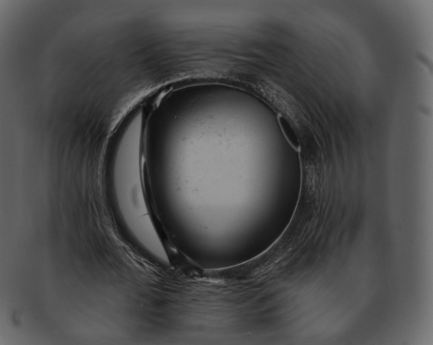 X0000092300676200710051221