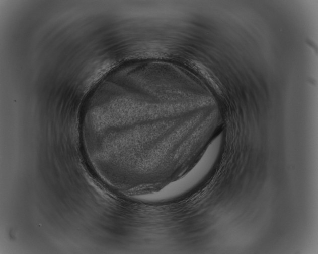 X0000092300677200710051221