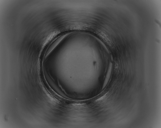 X0000092300678200710051221