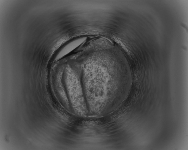 X0000092300679200710051221