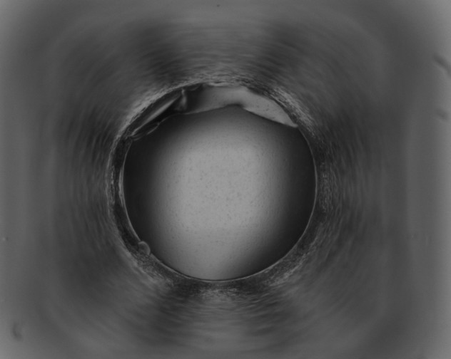 X0000092300680200710051221