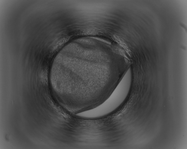 X0000092300681200710051221