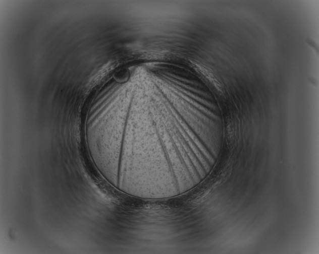 X0000092300682200710051221