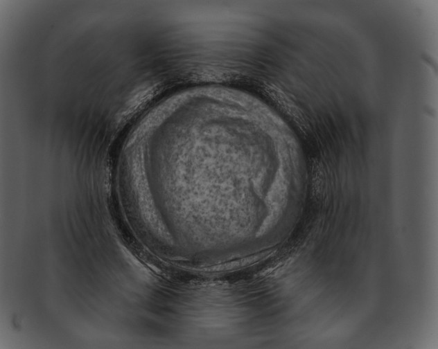 X0000092300683200710051220