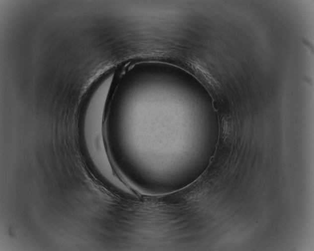 X0000092300684200710051220