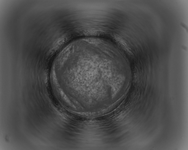 X0000092300687200710051220