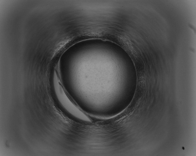 X0000092300688200710051220