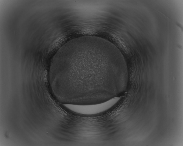 X0000092300689200710051220