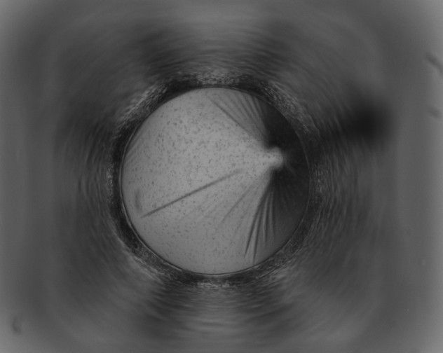 X0000092300690200710051220