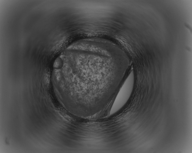 X0000092300691200710051220