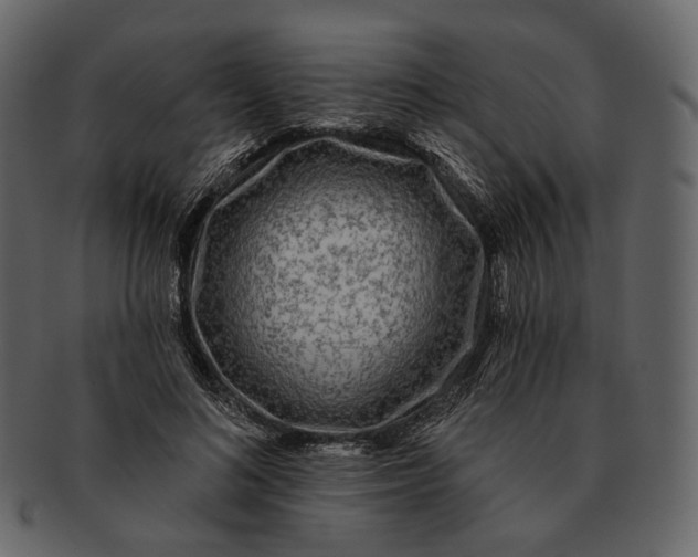 X0000092300692200710051220