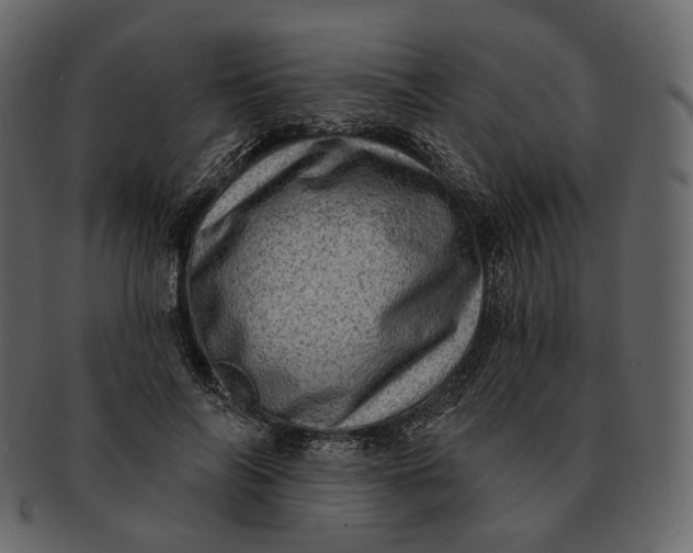 X0000092300694200710051220