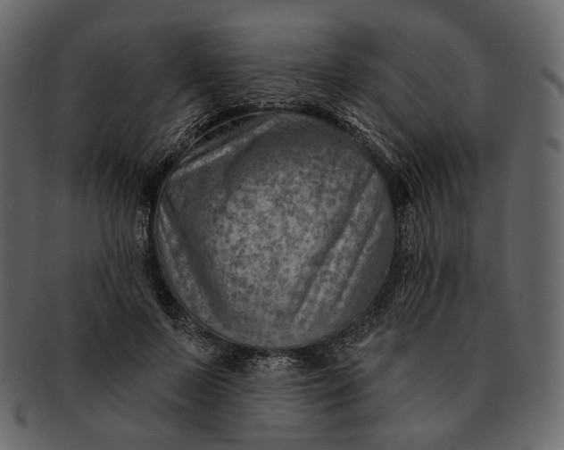 X0000092300695200710051220